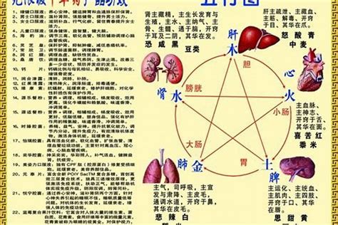 2014 年生肖|2014年是什么年 2014年出生的人属什么